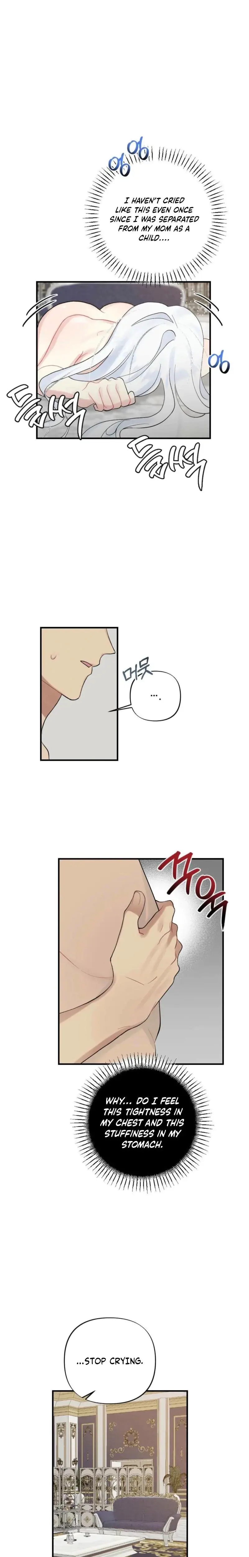The Circumstances Of A White Cat Bitten By The Black Panther Count Chapter 5 - Page 6