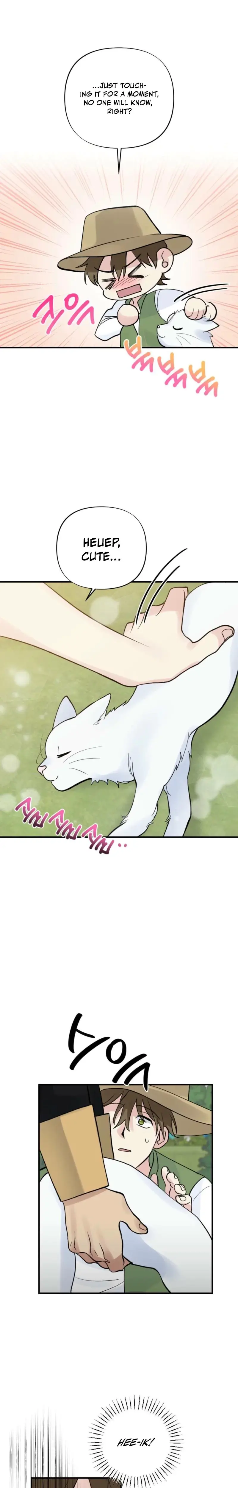 The Circumstances Of A White Cat Bitten By The Black Panther Count Chapter 6 - Page 22