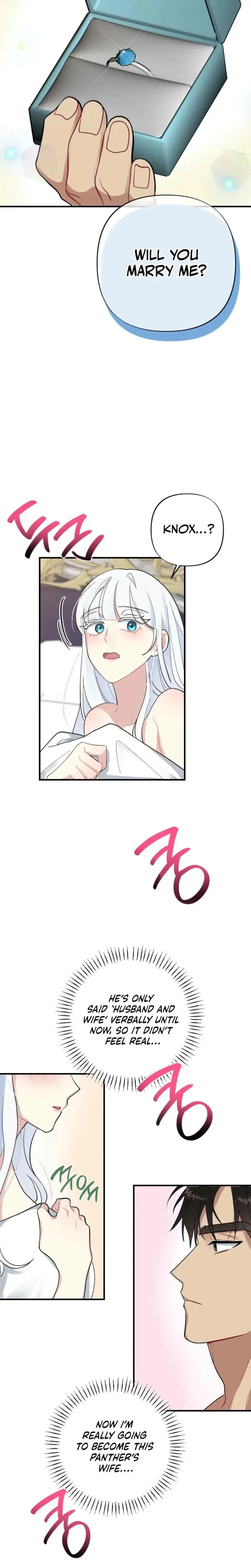 The Circumstances Of A White Cat Bitten By The Black Panther Count Chapter 7 - Page 17