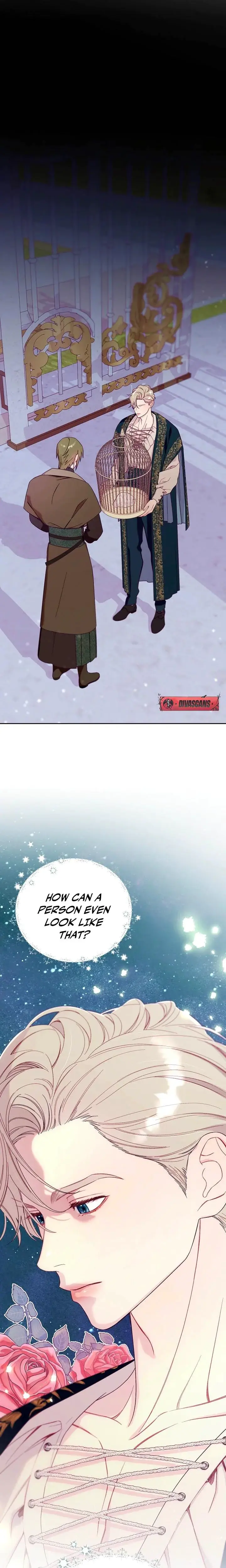 The Collectors Cage Chapter 2 - Page 3