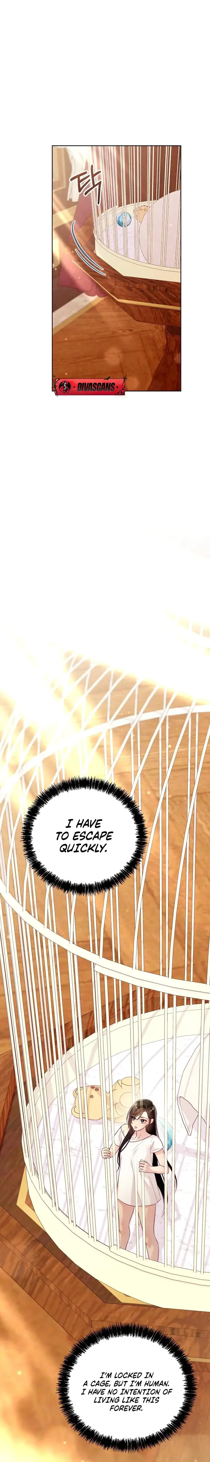 The Collectors Cage Chapter 7 - Page 25