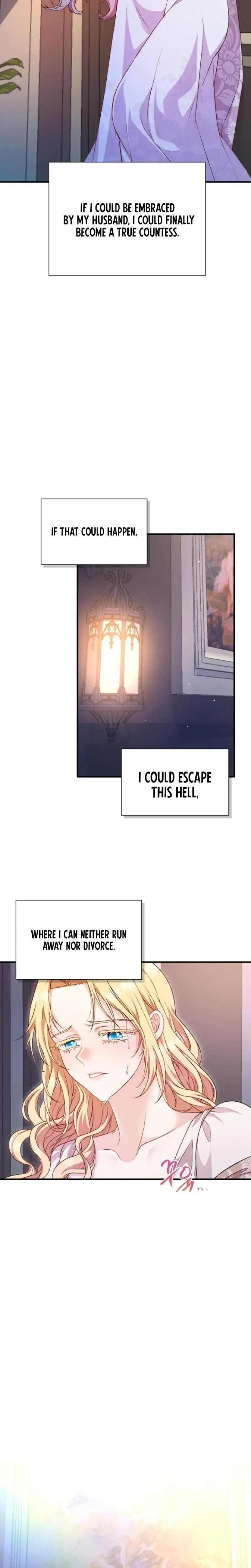 The Countesss Secret Chapter 1 - Page 25