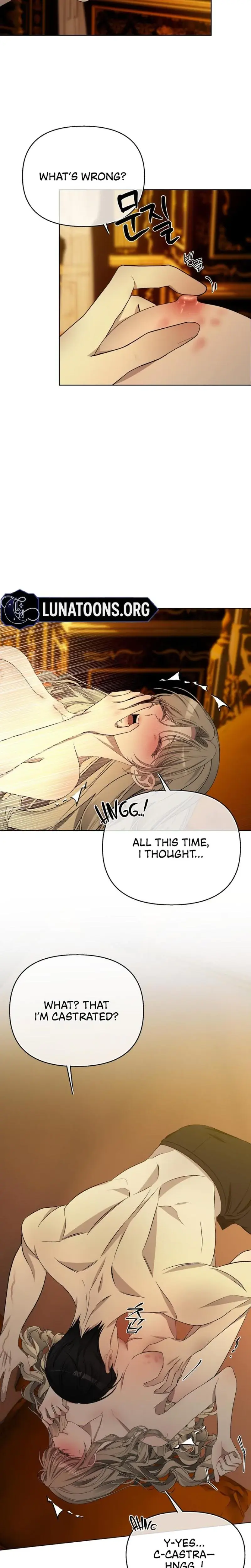 The Feudal Lords First Night Privilege Chapter 14 - Page 16