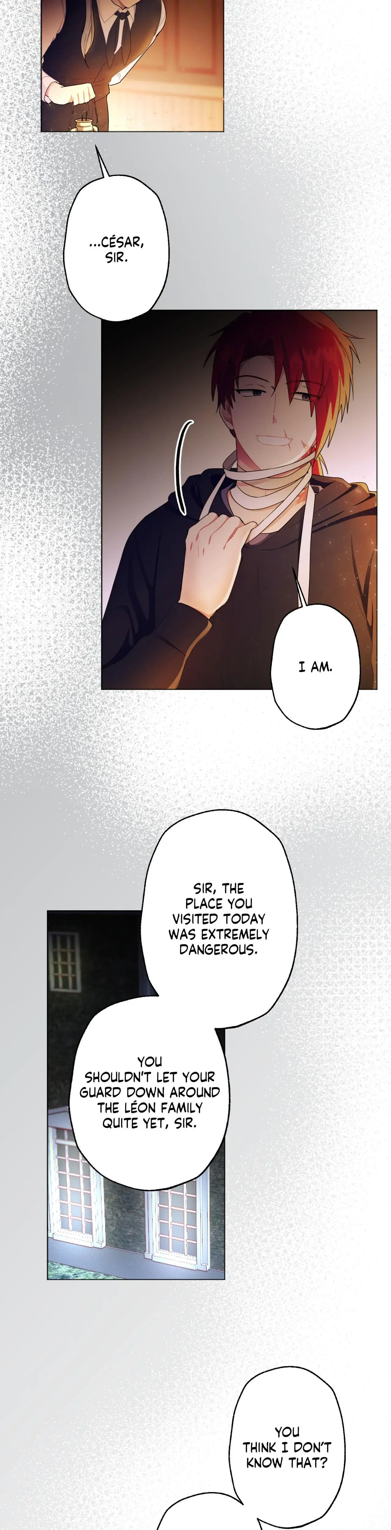 The Gilded Cage Chapter 27 - Page 4