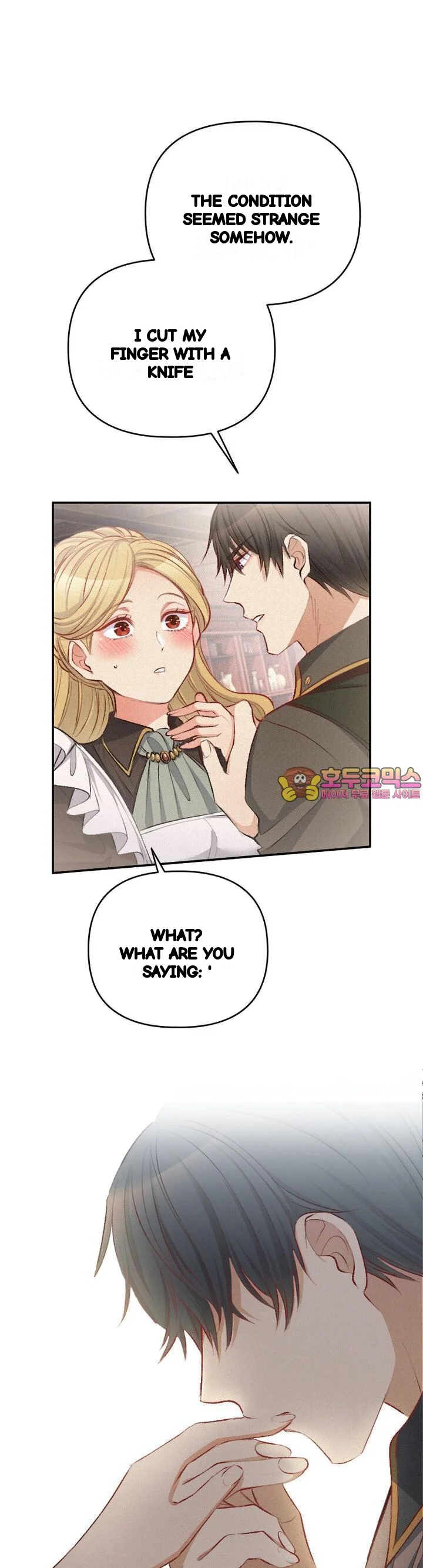 The Heat Of The Reincarnated Villainess Chapter 19 - Page 2