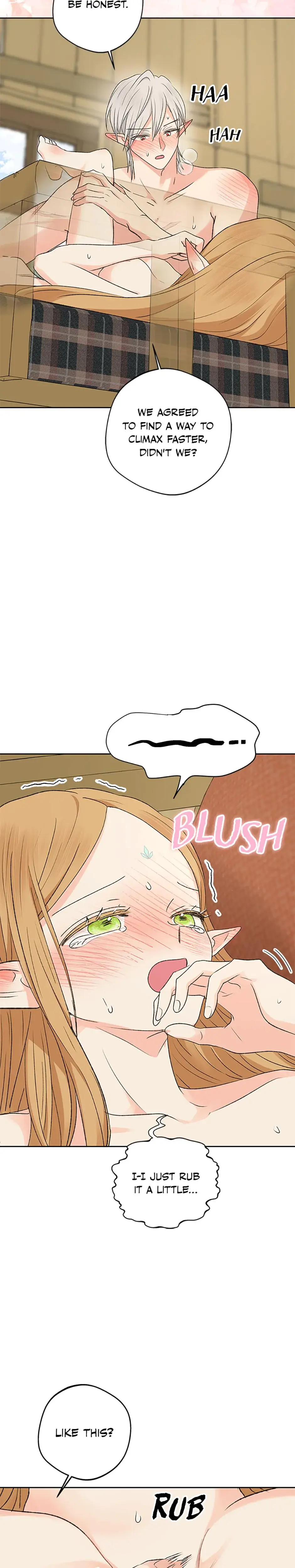 The Mating Of Elves Chapter 12 - Page 11