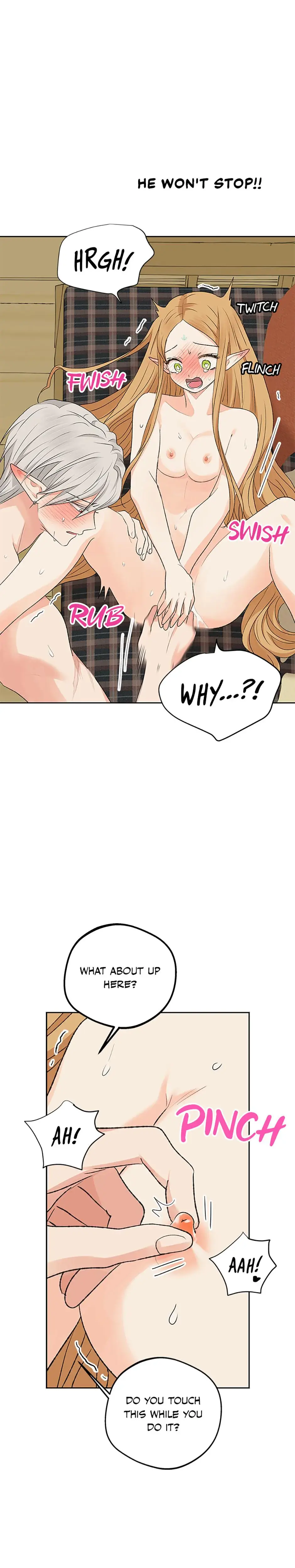 The Mating Of Elves Chapter 12 - Page 13