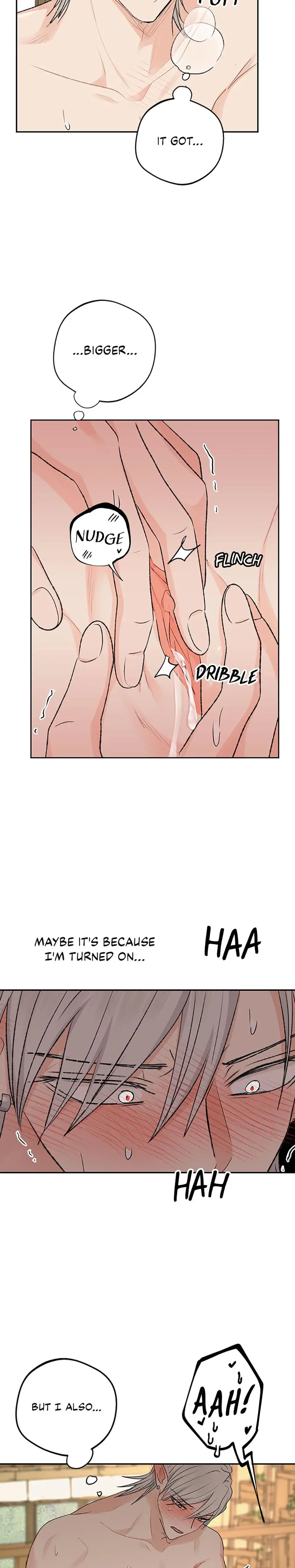 The Mating Of Elves Chapter 12 - Page 17