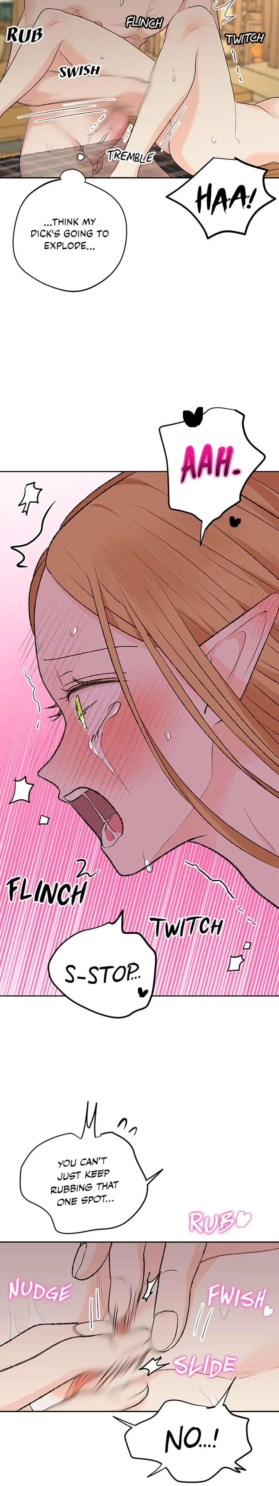The Mating Of Elves Chapter 12 - Page 18