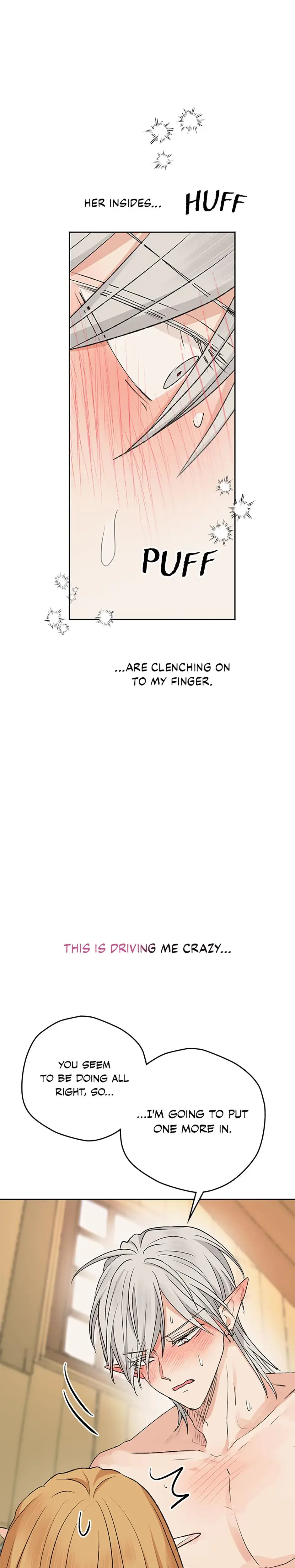 The Mating Of Elves Chapter 12 - Page 27