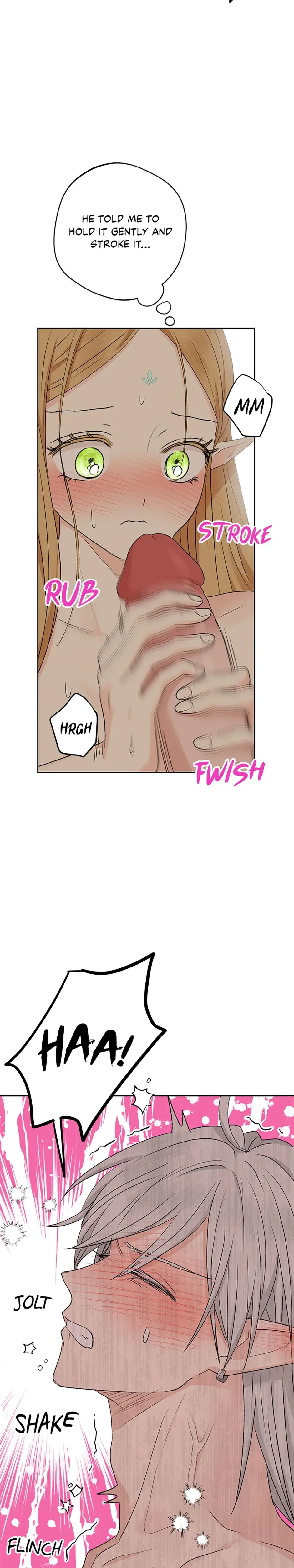 The Mating Of Elves Chapter 13 - Page 17