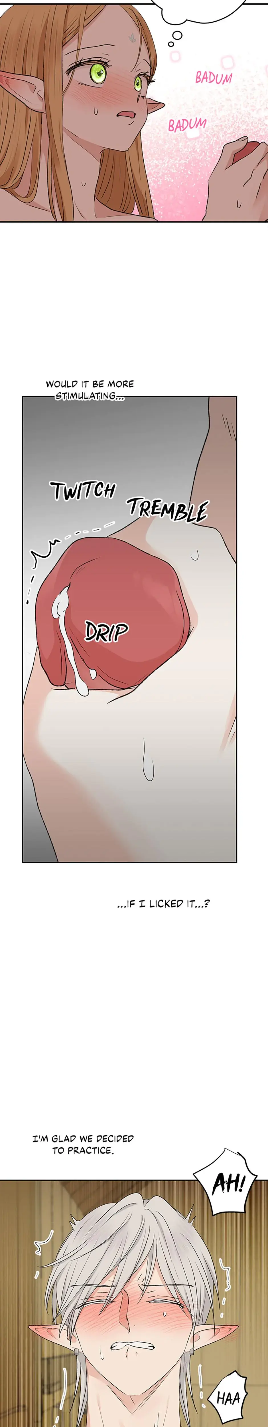 The Mating Of Elves Chapter 13 - Page 19