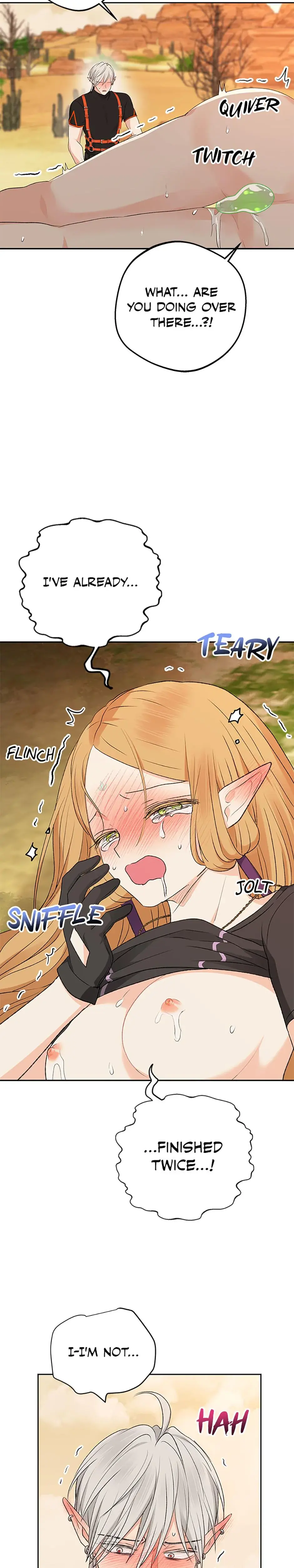 The Mating Of Elves Chapter 17 - Page 12