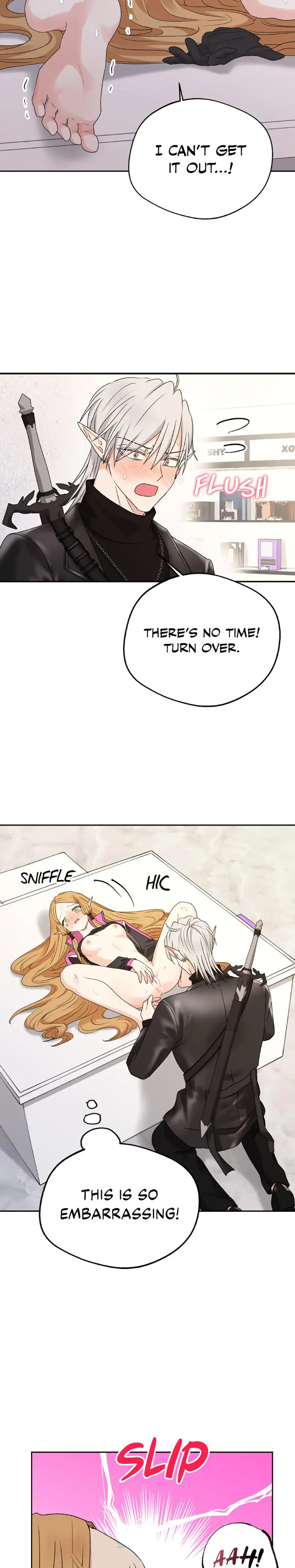 The Mating Of Elves Chapter 25 - Page 21