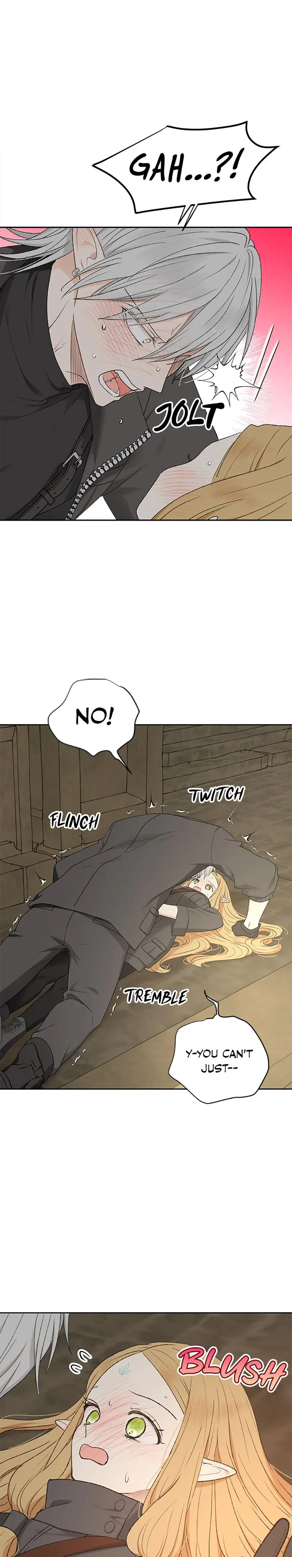 The Mating Of Elves Chapter 3 - Page 3