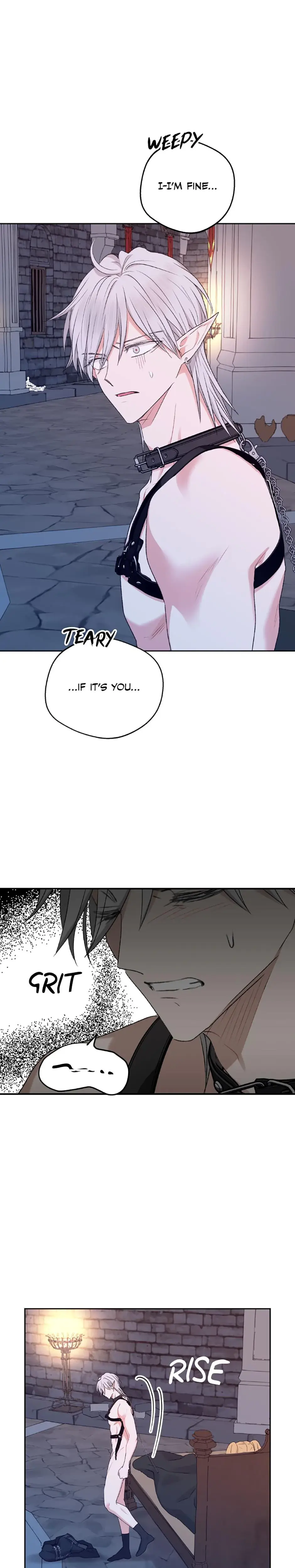 The Mating Of Elves Chapter 32 - Page 7