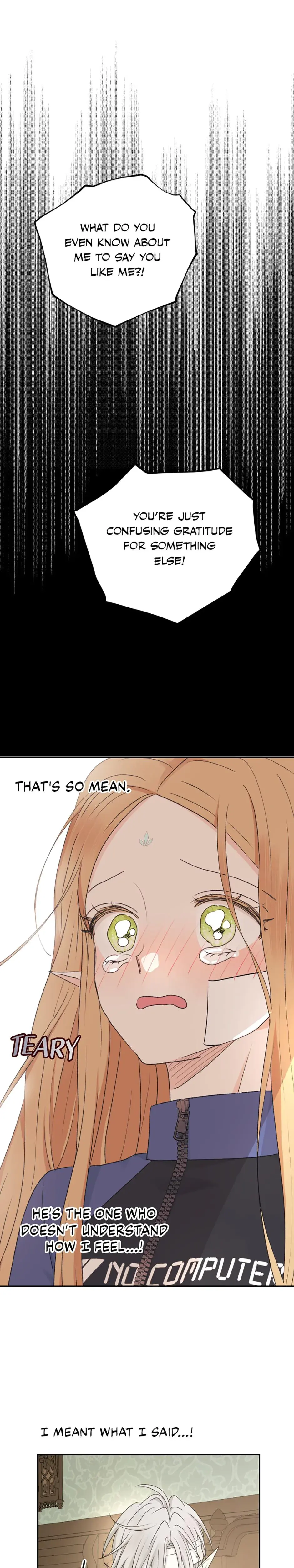 The Mating Of Elves Chapter 33 - Page 17