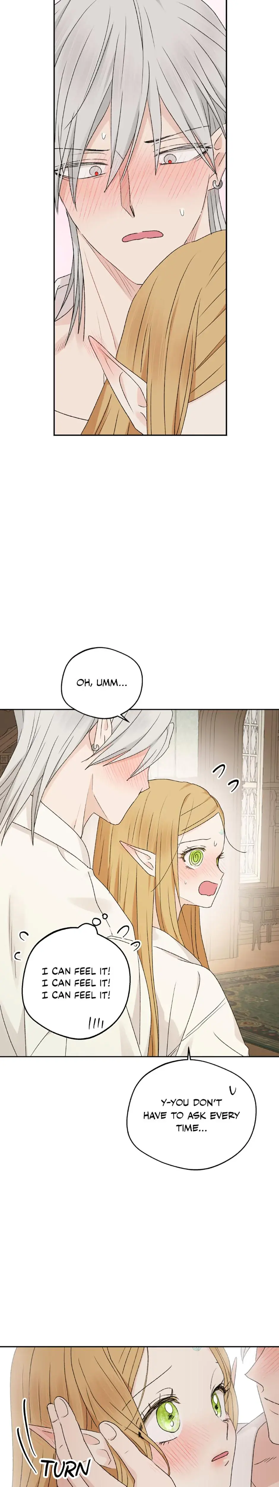 The Mating Of Elves Chapter 35 - Page 17