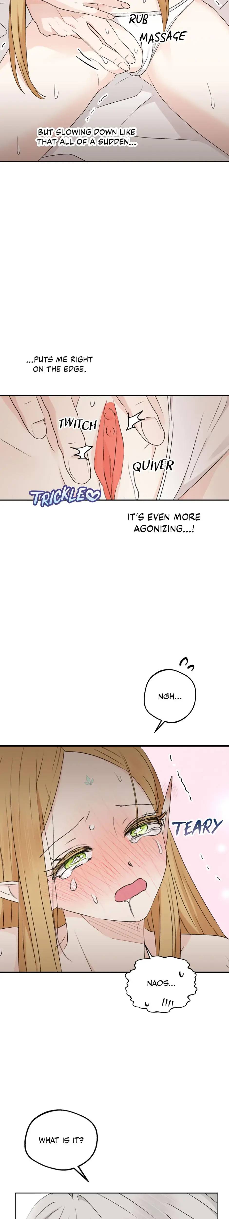 The Mating Of Elves Chapter 35 - Page 30