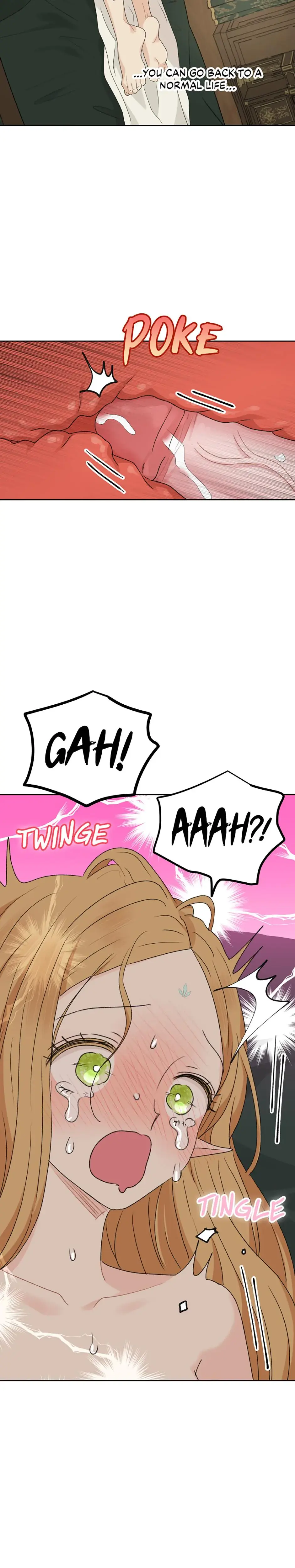 The Mating Of Elves Chapter 37 - Page 17