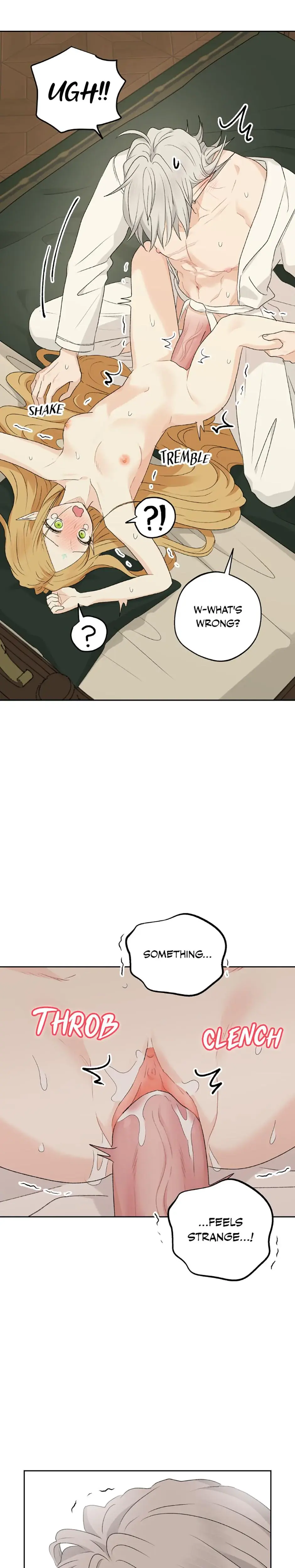 The Mating Of Elves Chapter 37 - Page 18