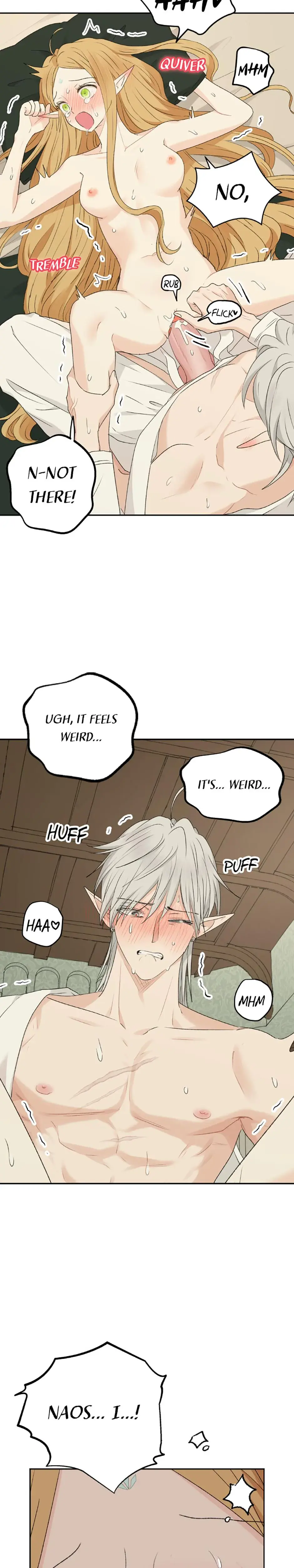 The Mating Of Elves Chapter 37 - Page 21