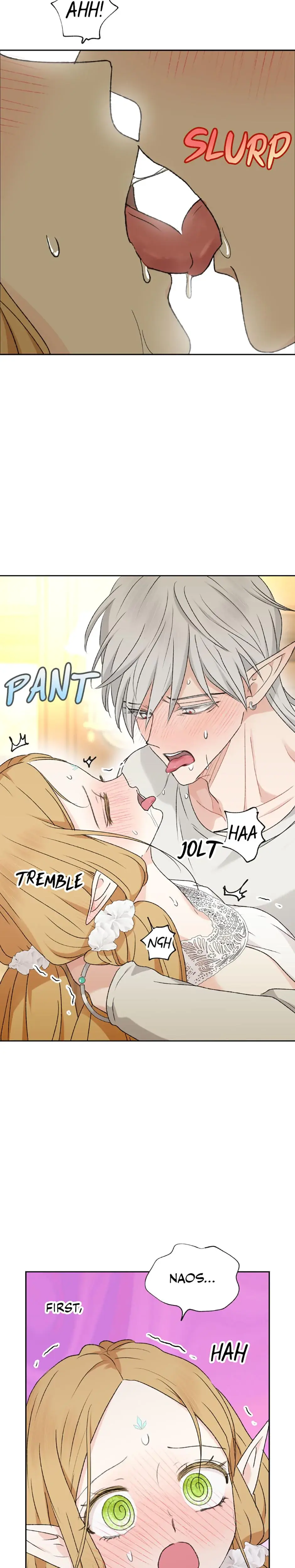 The Mating Of Elves Chapter 40 - Page 17