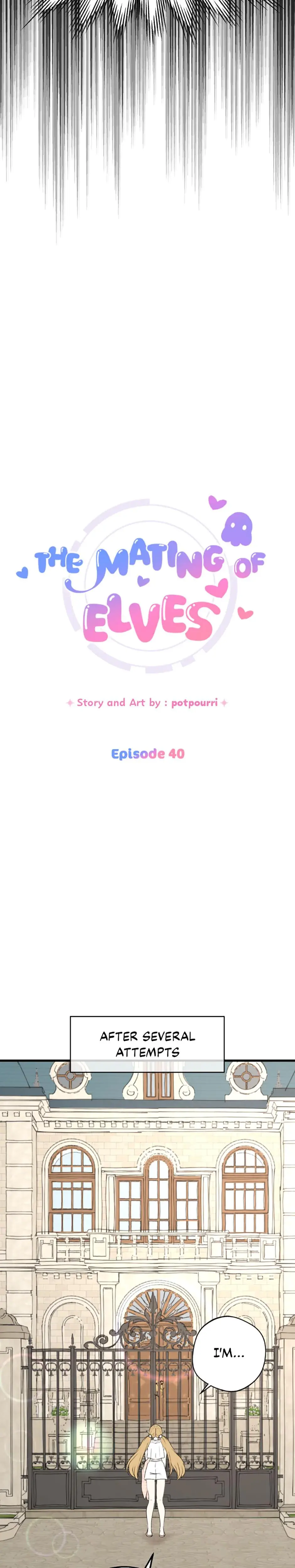The Mating Of Elves Chapter 40 - Page 4