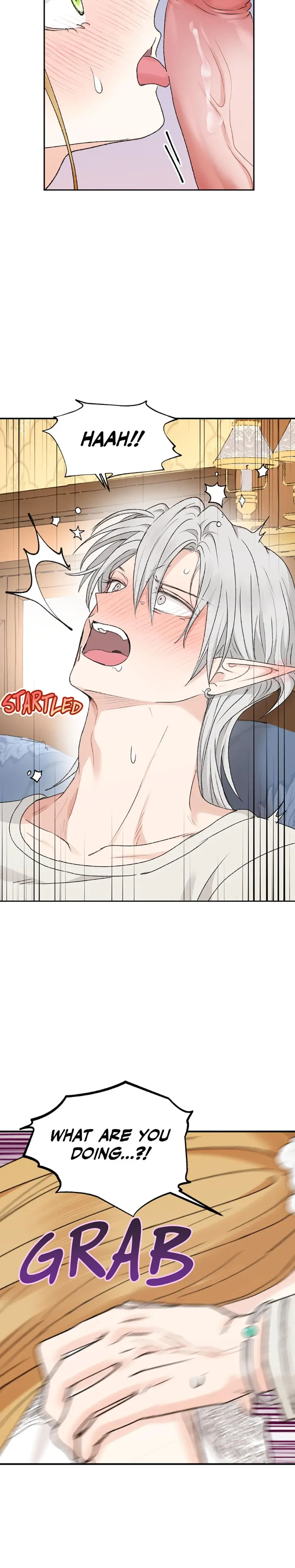 The Mating Of Elves Chapter 41 - Page 20