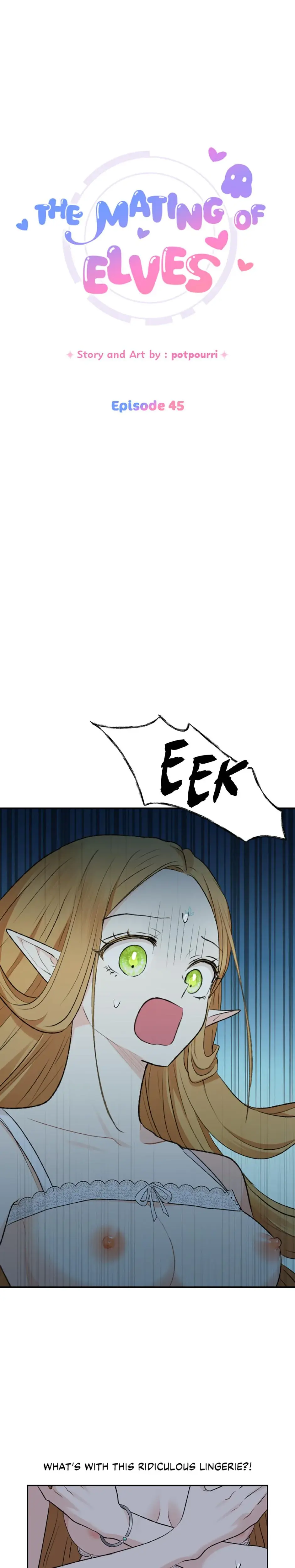 The Mating Of Elves Chapter 45 - Page 1