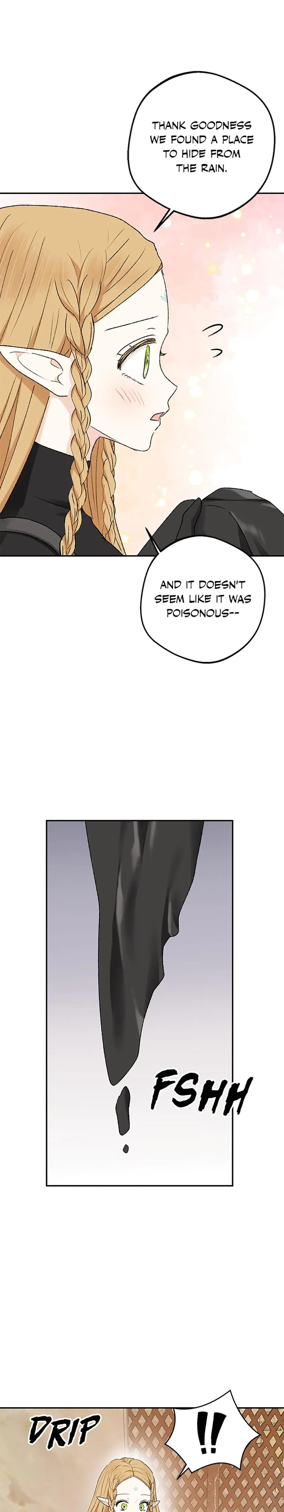 The Mating Of Elves Chapter 5 - Page 25
