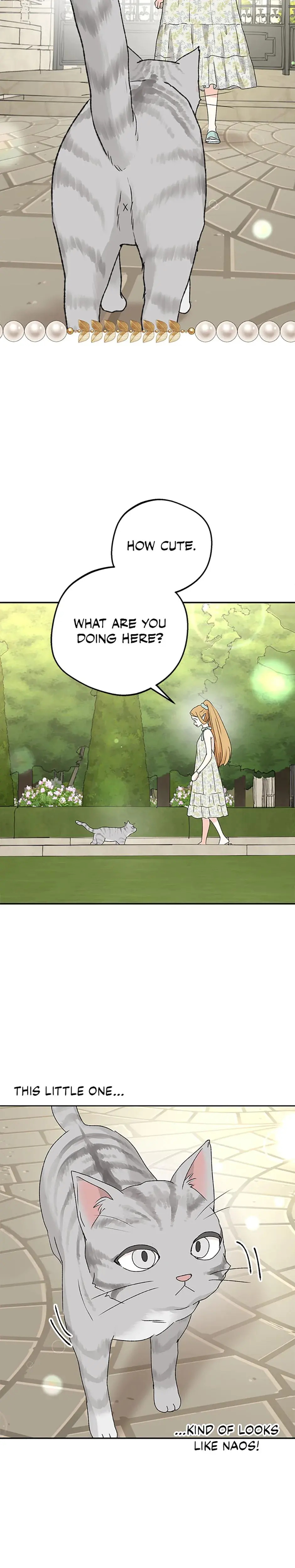 The Mating Of Elves Chapter 53 - Page 12