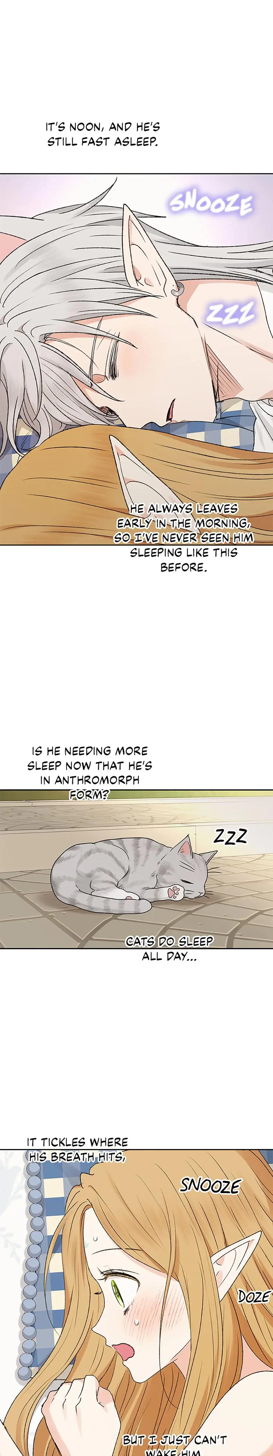 The Mating Of Elves Chapter 53 - Page 18