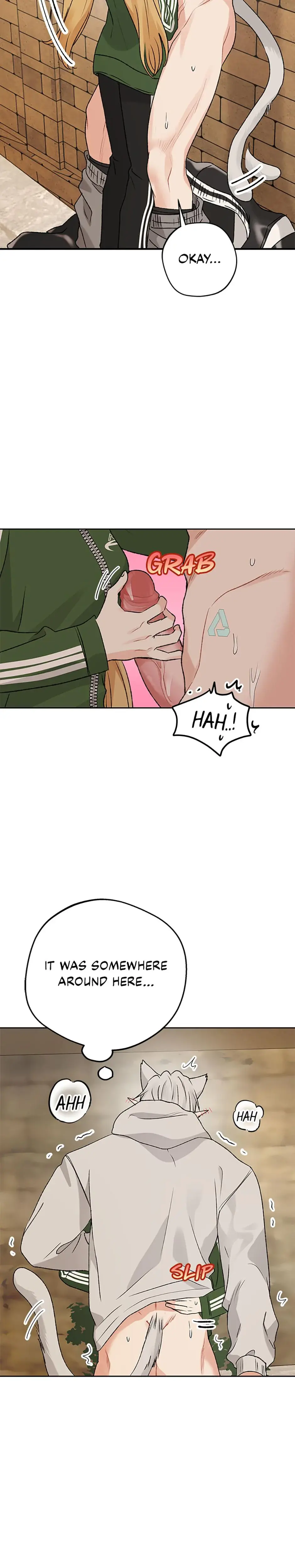 The Mating Of Elves Chapter 55 - Page 25