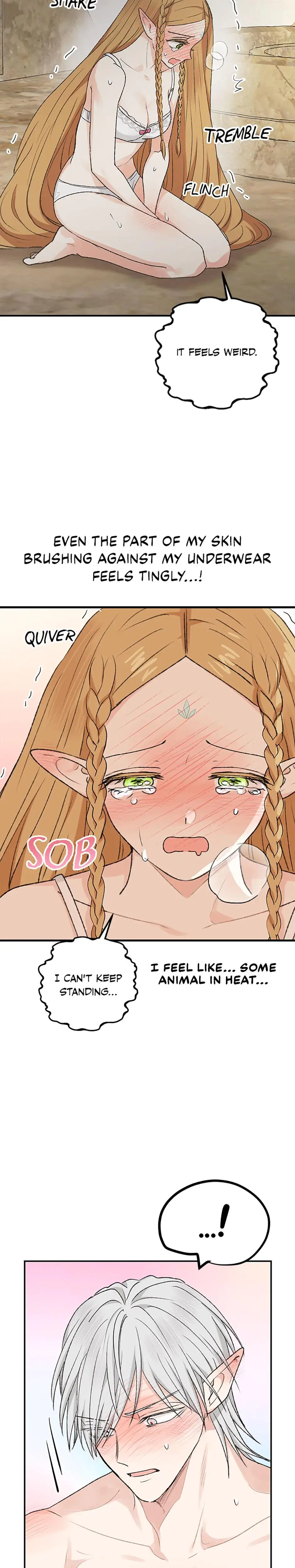 The Mating Of Elves Chapter 6 - Page 15
