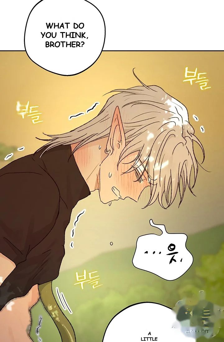 The Mating Of Elves Chapter 68 - Page 107