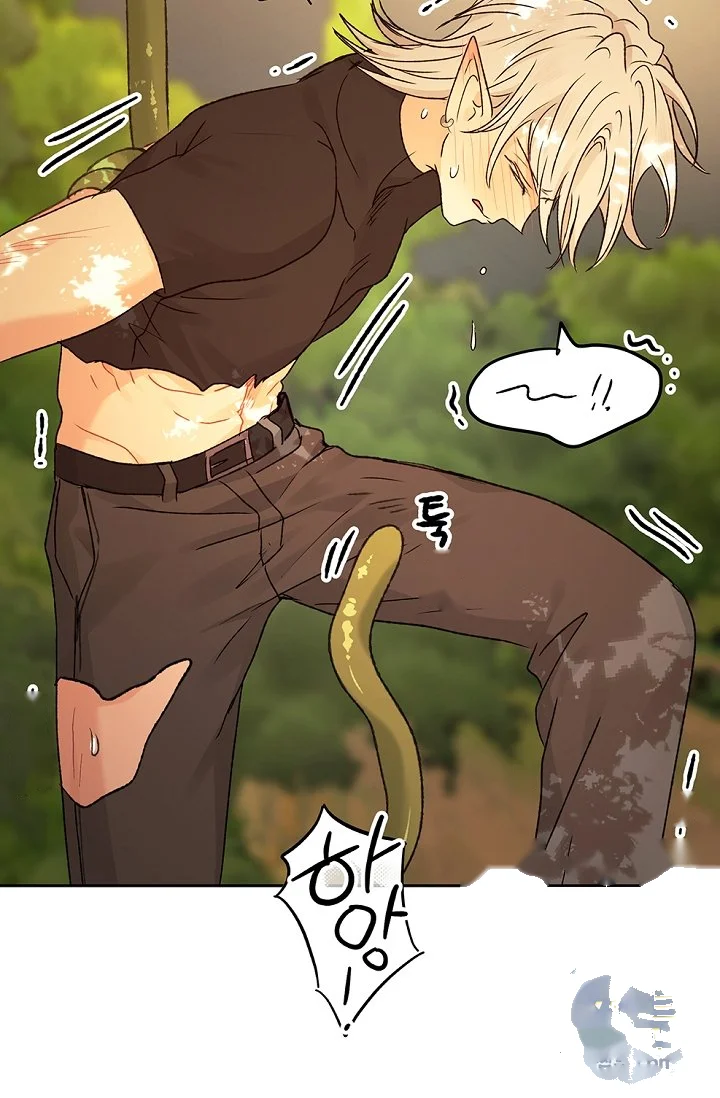 The Mating Of Elves Chapter 68 - Page 73