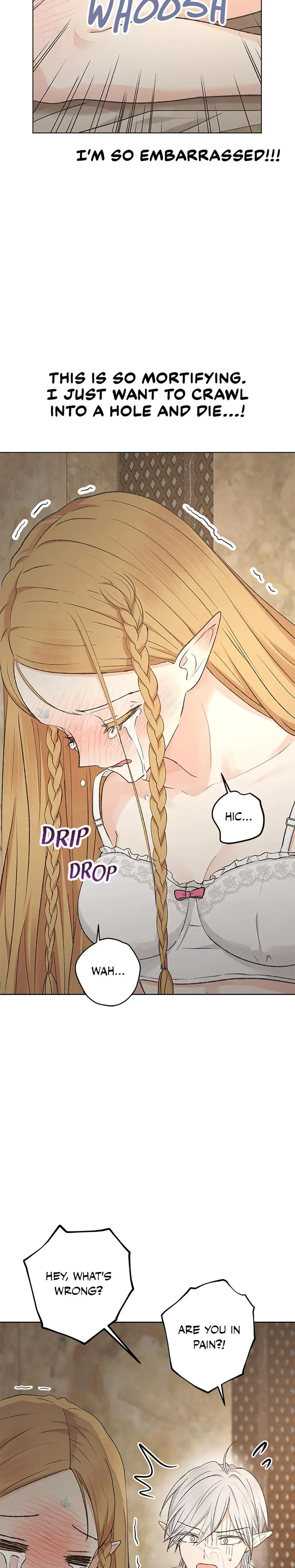 The Mating Of Elves Chapter 8 - Page 4