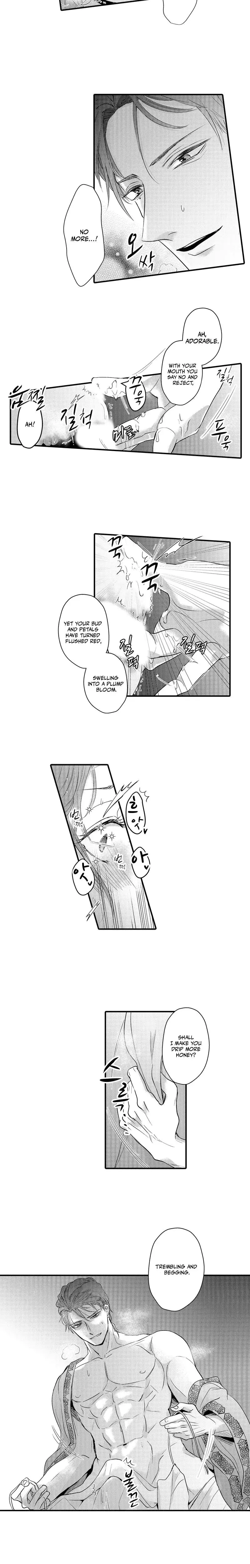 The Merciless Emperors Pet Consort Chapter 3 - Page 5