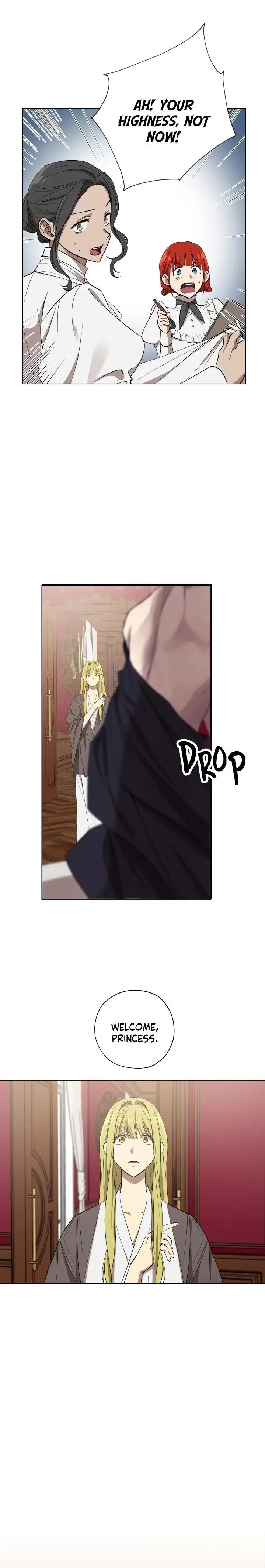 The Princess Imprints The Traitor Chapter 17 - Page 1