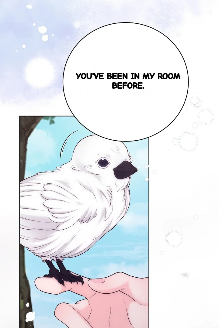 The Saintess And Her Secret Chambers Chapter 92 - Page 68