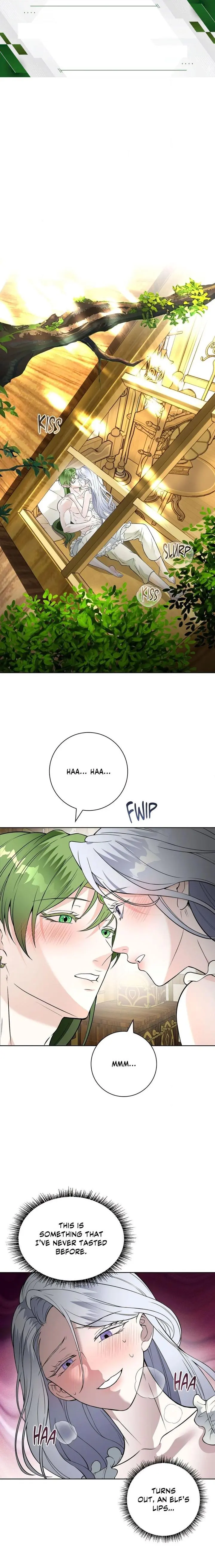The Saintesss Petals Are Drenched Chapter 17 - Page 1
