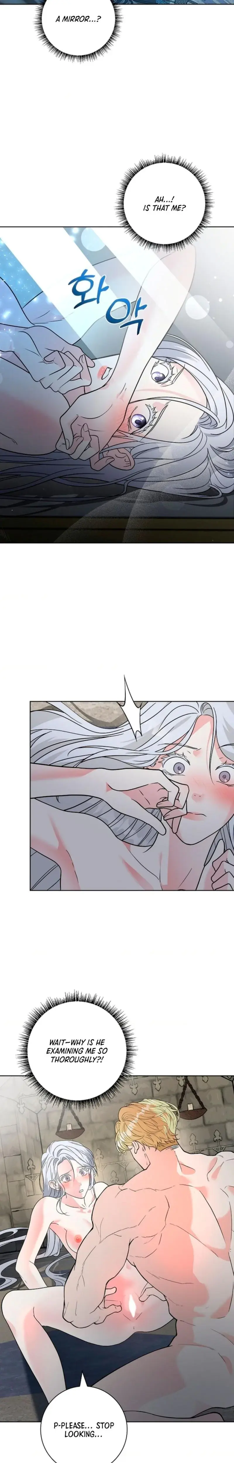 The Saintesss Petals Become Wet Chapter 2 - Page 3