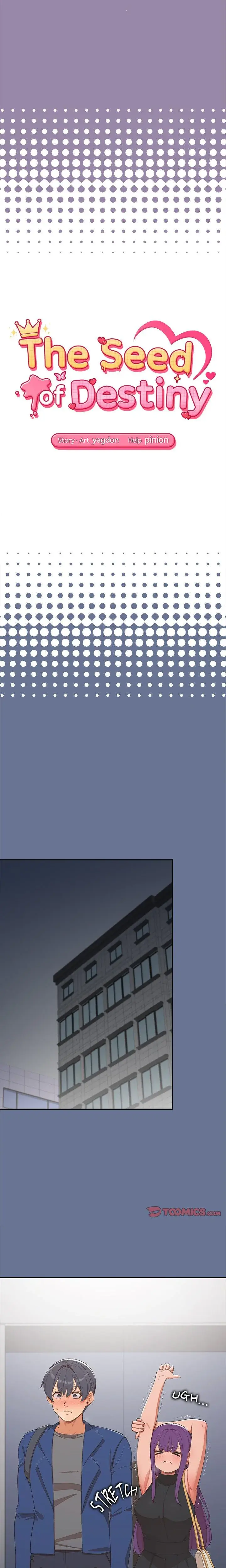 The Seed Of Destiny Chapter 25 - Page 3