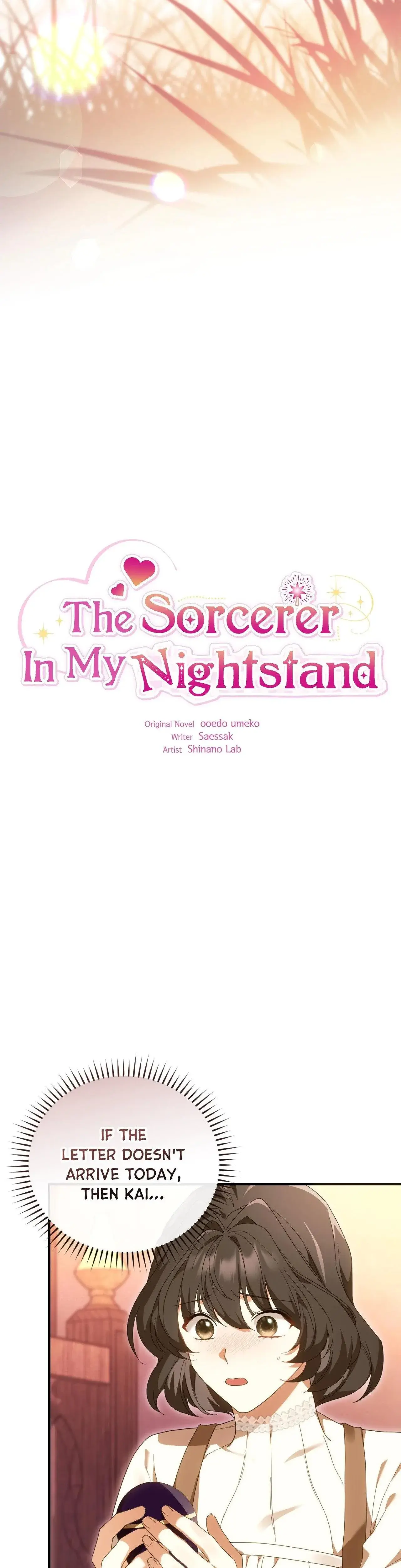 The Sorcerer In My Nightstand Chapter 32 - Page 9
