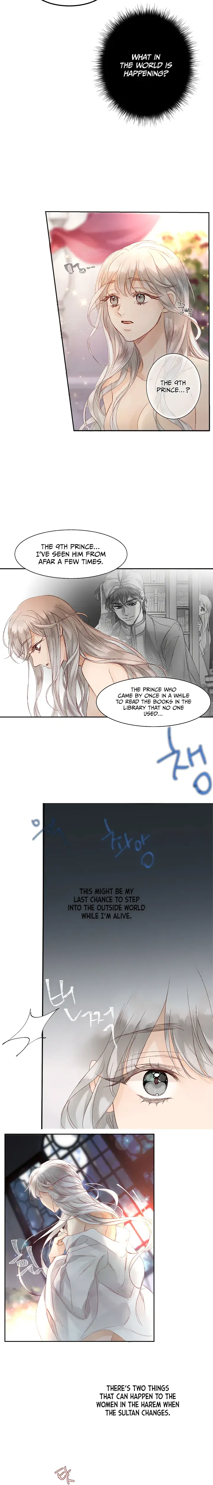 The Sultans Love Chapter 1 - Page 11