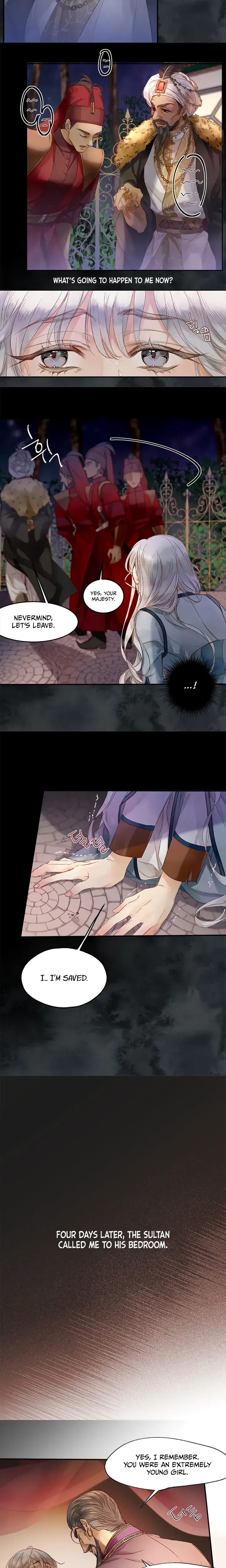 The Sultans Love Chapter 1 - Page 8