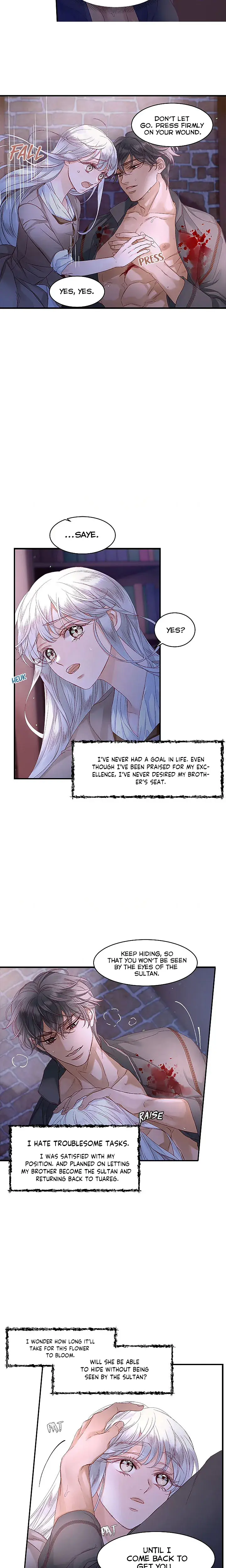 The Sultans Love Chapter 11 - Page 13