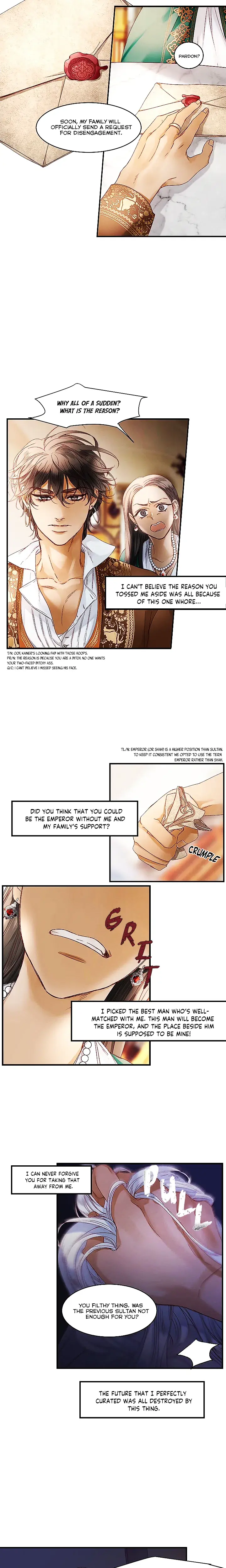 The Sultans Love Chapter 13 - Page 9