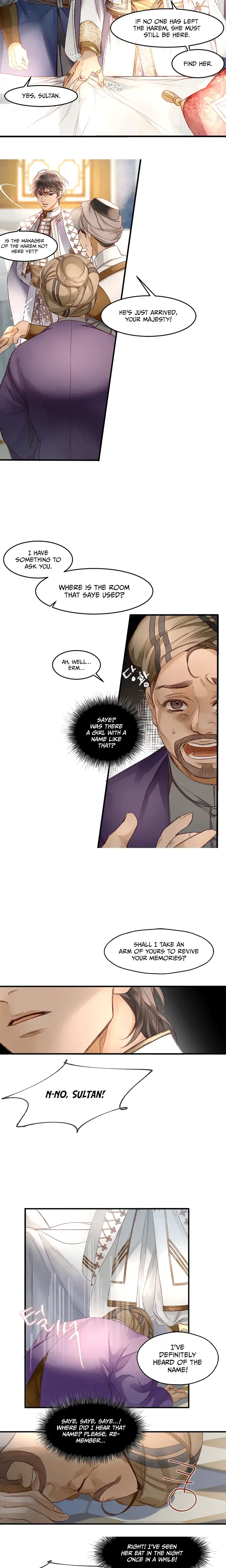 The Sultans Love Chapter 2 - Page 11